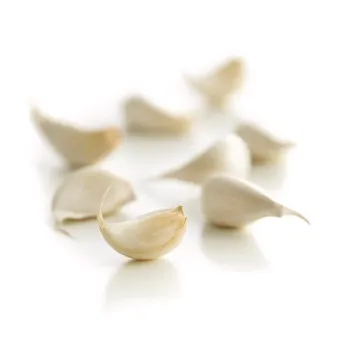 Organic Garlic 